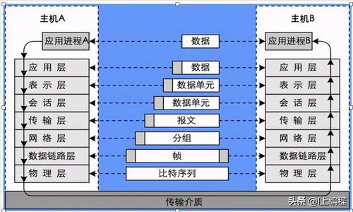 计算机网络 计算机网络体系结构